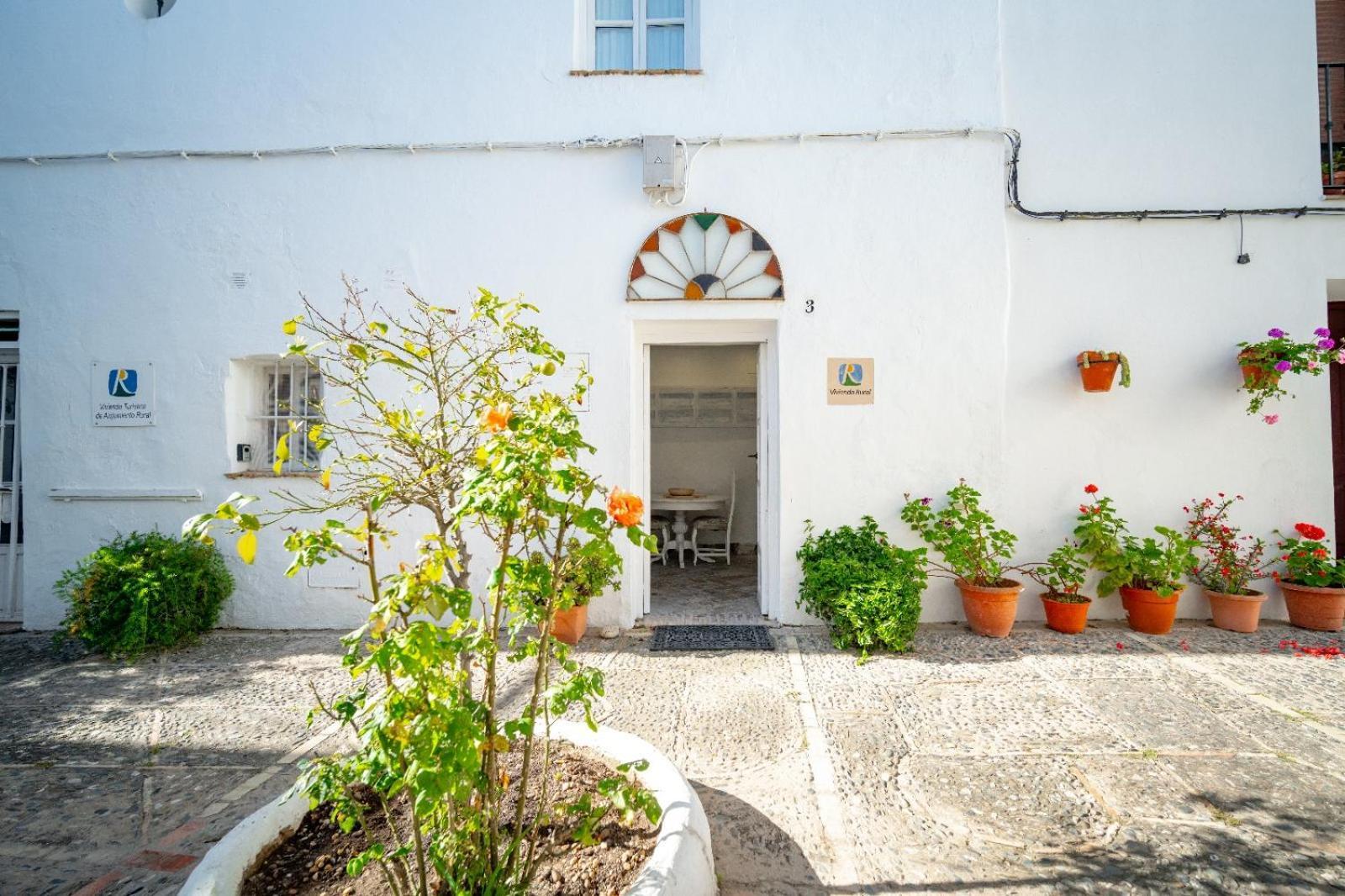 Вілла Casa Hibiscus Вехер-де-ла-Фронтера Екстер'єр фото